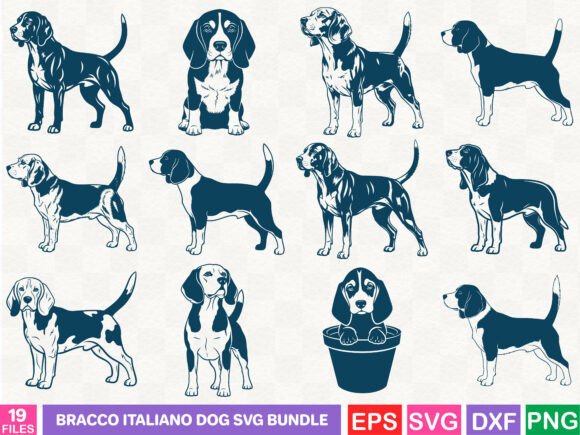 Bracco Italiano Dog Bundle: An Embroidery Designer's Review