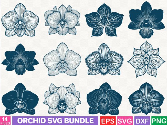 The Orchid SVG Bundle: A Brand Designer’s Practical Review